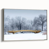 Framed canvas landscape art painting depicting Central Park with vintage poster style in colorful and black tones.