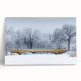 Black and white photo of Central Park on stretched canvas, suited as kitchen wall art or for bedroom ambiance.