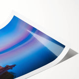 Extra large rolled print of line art flowers in monochrome, ideal for large living room wall art.