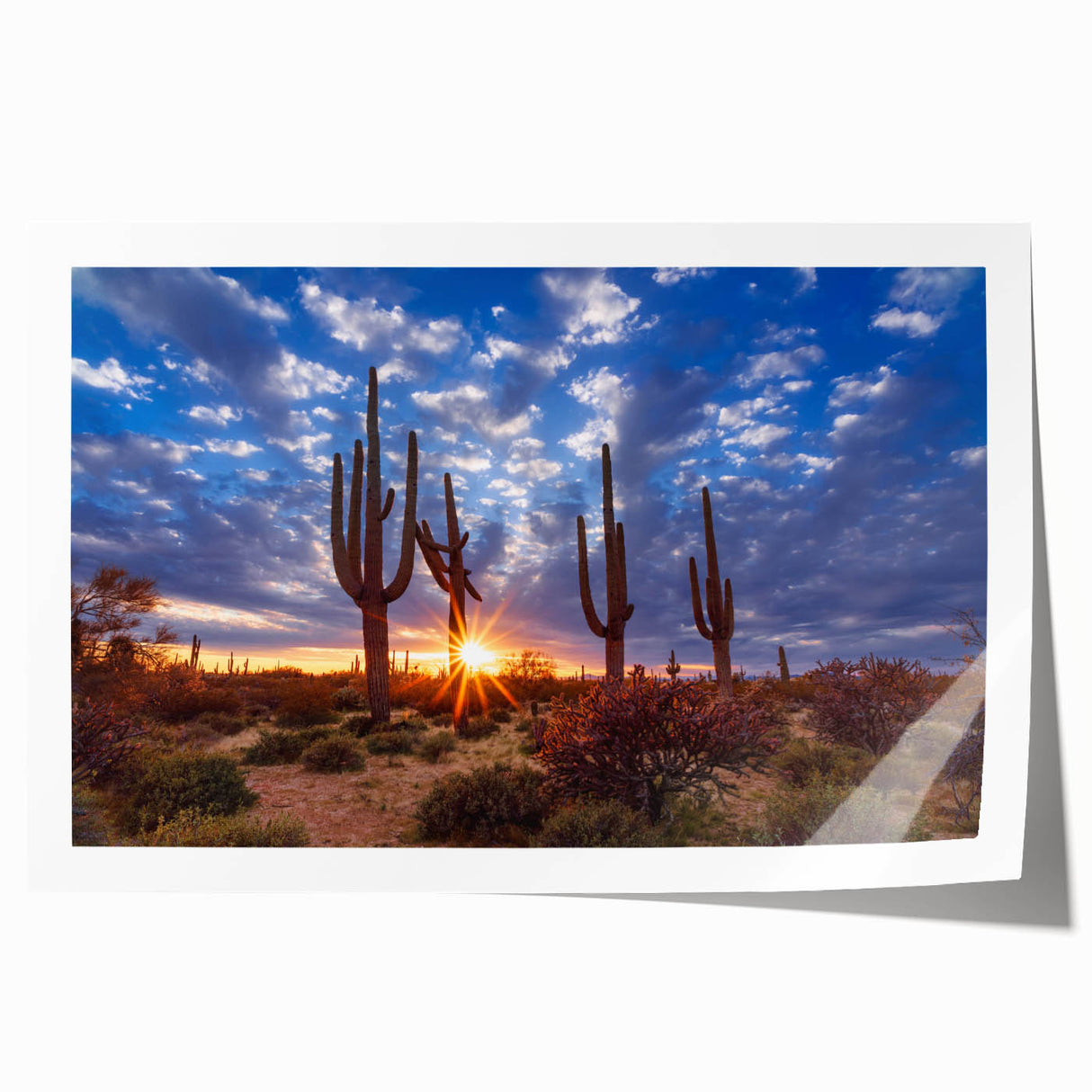 Rolled print of Phoenix Valley with muted earth tones, ideal for art wall dining room decor.