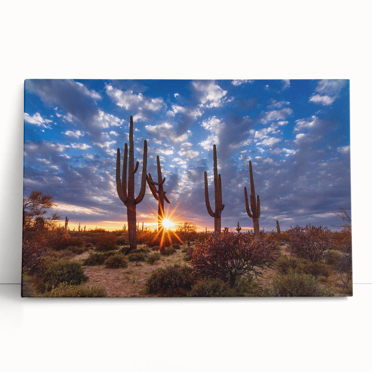 Black and white stretched canvas depicting the Phoenix valley, ideal for kitchen wall art or bedroom decor.