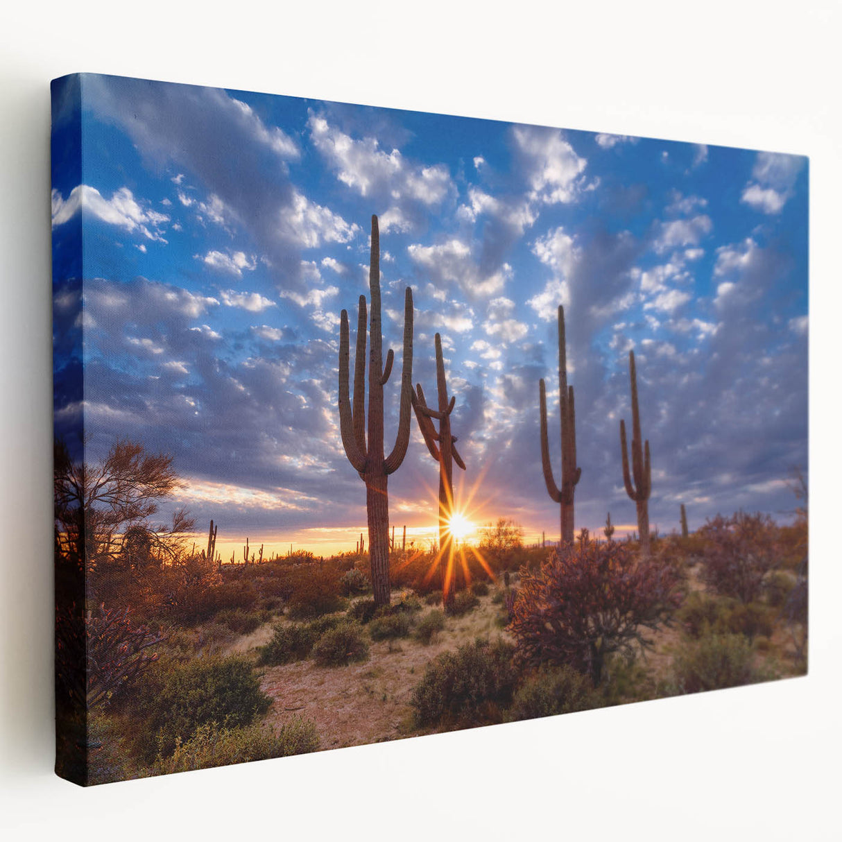 Large stretched canvas depicting the Phoenix valley in natural earth tones, suitable for kitchen wall art.