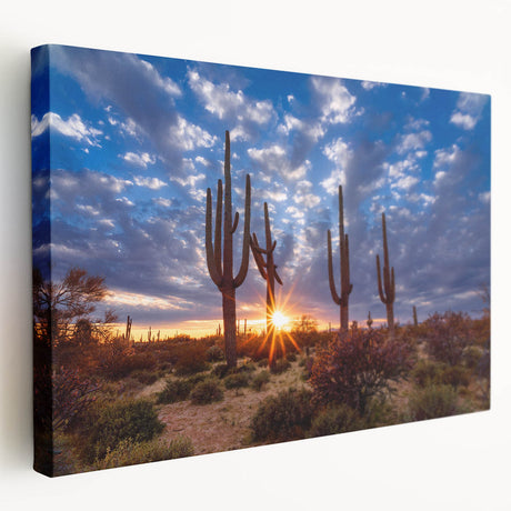 Large stretched canvas depicting the Phoenix valley in natural earth tones, suitable for kitchen wall art.