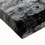 Black and white stretched canvas featuring a close-up view of Mt. Rushmore, ideal for bedroom wall art.