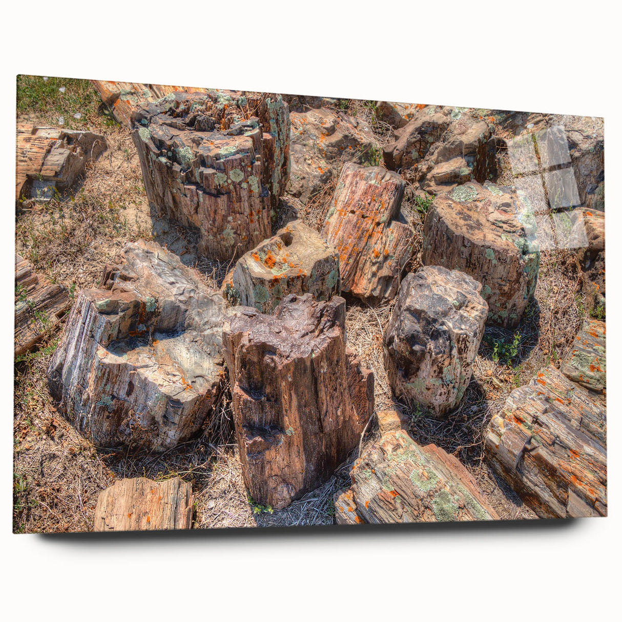 Large abstract depiction of South Dakota scenery on acrylic glass, featuring earth tones.