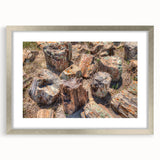 Textured abstract art print depicting a South Dakota landscape in muted earth tones, framed with a silver mat.