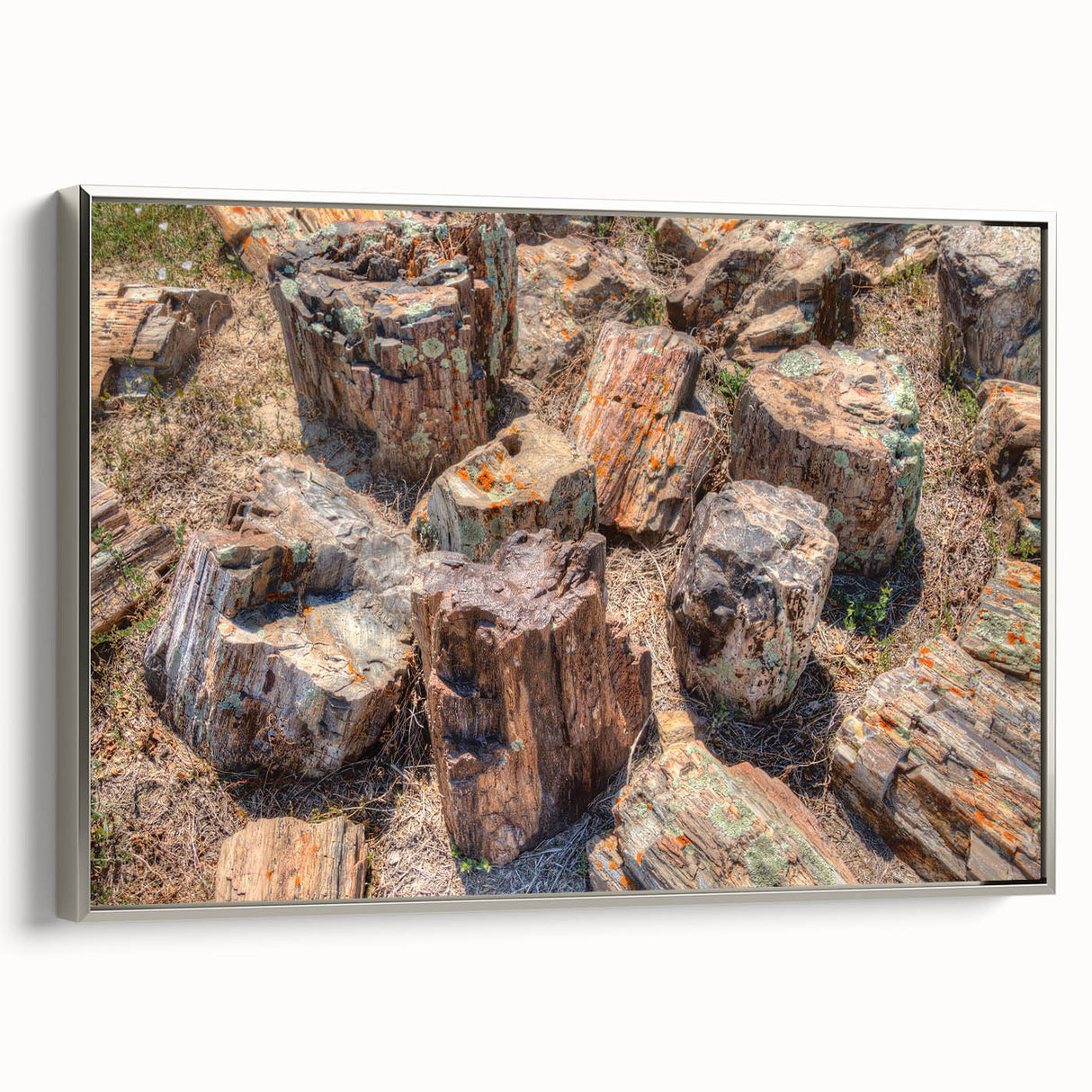Framed canvas featuring a vintage-style landscape painting of South Dakota with a black border and colorful hues.