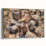 Framed canvas featuring a vintage-style landscape painting of South Dakota with a black border and colorful hues.