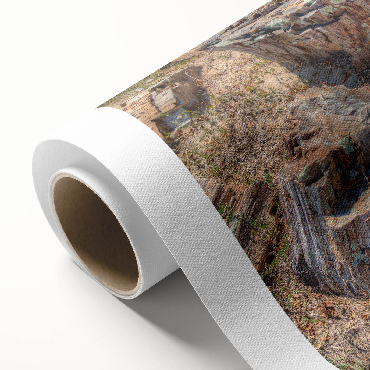 Art Deco poster of South Dakota scenery in pastel shades on rolled canvas, ideal for nursery wall art.