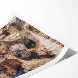 Extra large wall art featuring line art flowers in black on a white background, ideal for large living room decor.