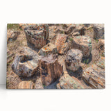 Black and white image of South Dakota scenery on large stretched canvas, ideal for kitchen wall art or bedroom ambiance.