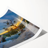 Extra large wall art featuring line art flowers in muted colors on rolled canvas, ideal for large living room decor.