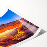 Extra large wall art featuring line art flowers in a minimalist style on a rolled canvas.