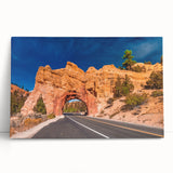 Black and white photograph of Bryce Canyon on stretched canvas, ideal for kitchen wall art or bedroom ambiance.