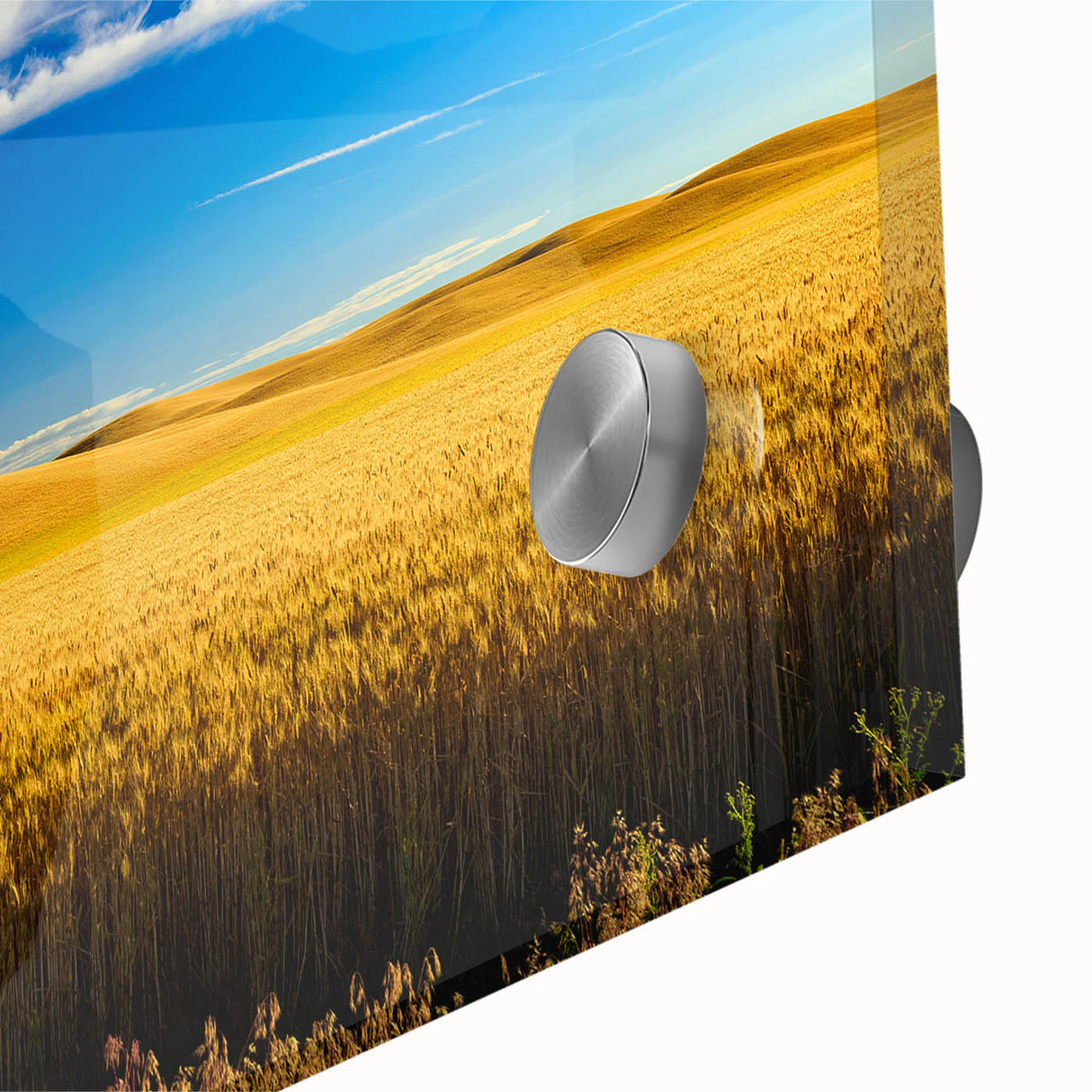 Acrylic print of a large abstract depiction of Palouse, Washington, in muted earth tones.