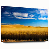 Acrylic print of Palouse, Washington scenery in soft green and gold tones, ideal for dining room decor.