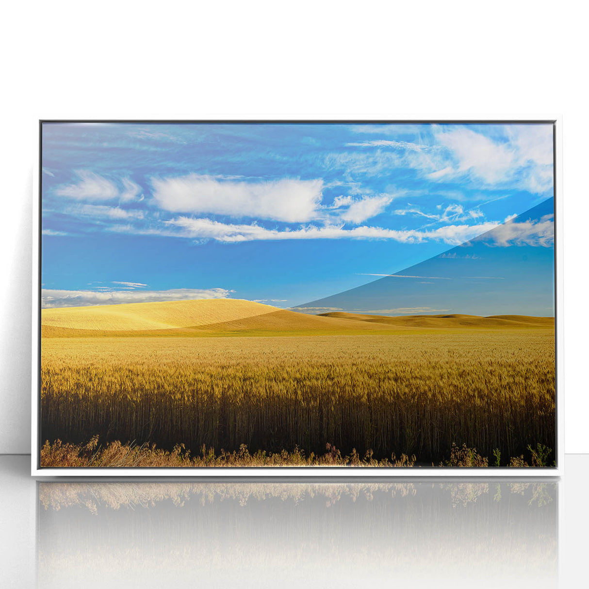 Acrylic print of Palouse, Washington scenery in muted greens and browns, framed in white, suitable for modern art wall decor.