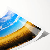 Extra large wall art featuring line art flowers in muted green and brown tones on a rolled print.