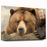 Acrylic print of Yellowstone landscape with vibrant green and blue tones, suitable for dining room decor.