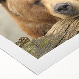 Art deco poster of Yellowstone scenery, featuring muted earth tones on a rolled canvas, suitable for dining room wall art.