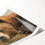 Extra large rolled print of line art flowers in muted earth tones, ideal for large living room wall art.