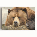 Black and white stretched canvas of Yellowstone scenery, ideal for kitchen wall art or bedroom ambiance.