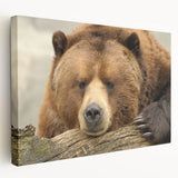 Yellowstone National Park scenery on stretched canvas, featuring lush greenery and waterfalls, ideal for kitchen wall art.