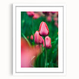 Abstract art print featuring vibrant spring hues on a white framed canvas, ideal for dining room or bedroom decor.