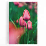 Large black and white abstract depiction of spring on stretched canvas, ideal for kitchen wall art.