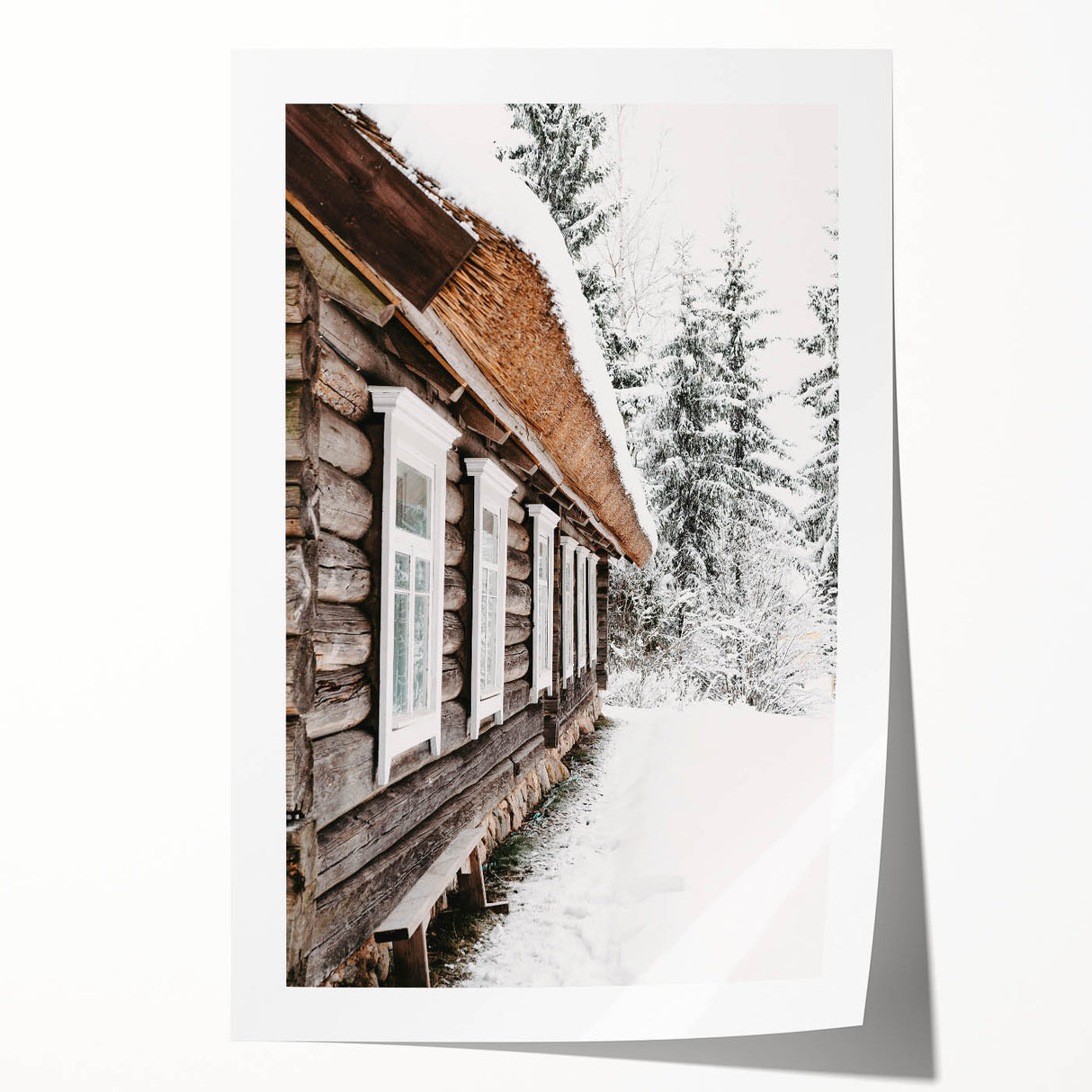 Extra large rolled print of a winter floral scene in muted blue and white tones, ideal for art wall dining room.