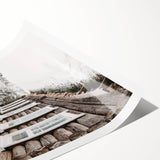 Extra large wall art featuring line art flowers in black on white, rolled canvas print.