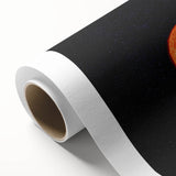 Sun and Moon Wall Art - NASA Space Exploration Canvas Print