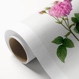 Neoclassical Agatha Rose Print - Classic Botanical Art by Redouté