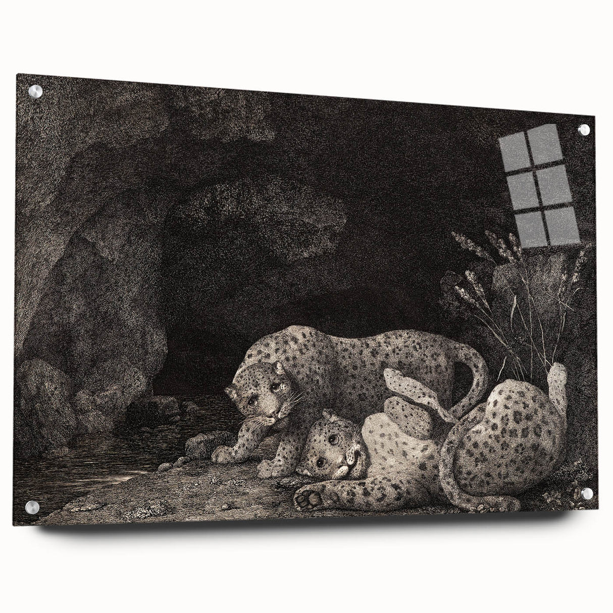 Realism Art Print – Tygers at Play by George Stubbs | Classical Wildlife Art