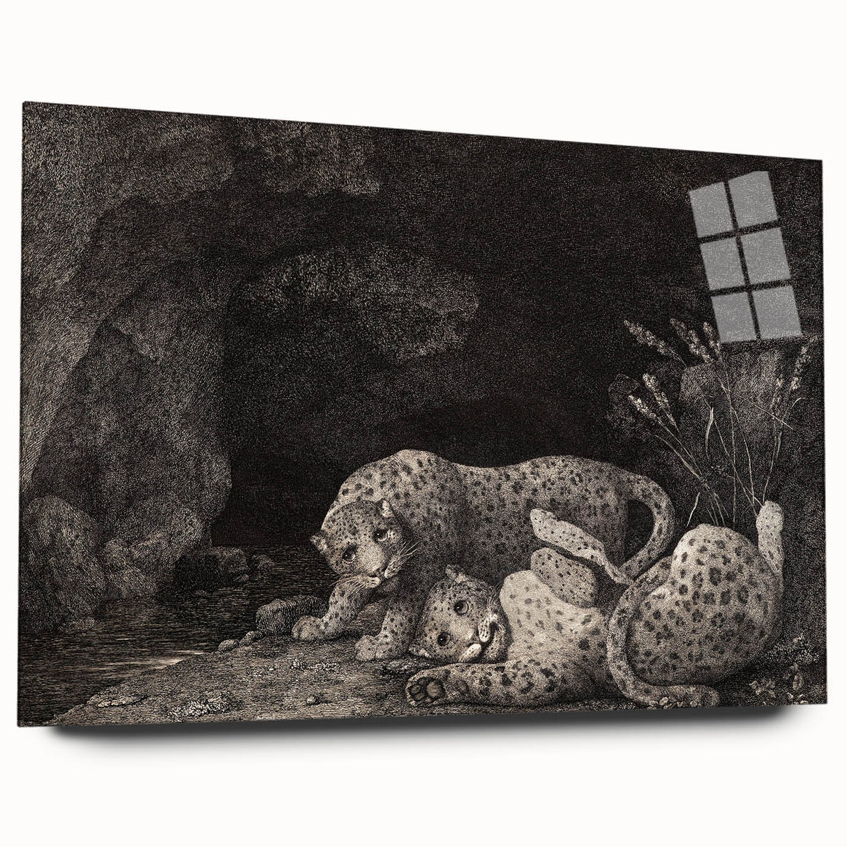 Realism Art Print – Tygers at Play by George Stubbs | Classical Wildlife Art