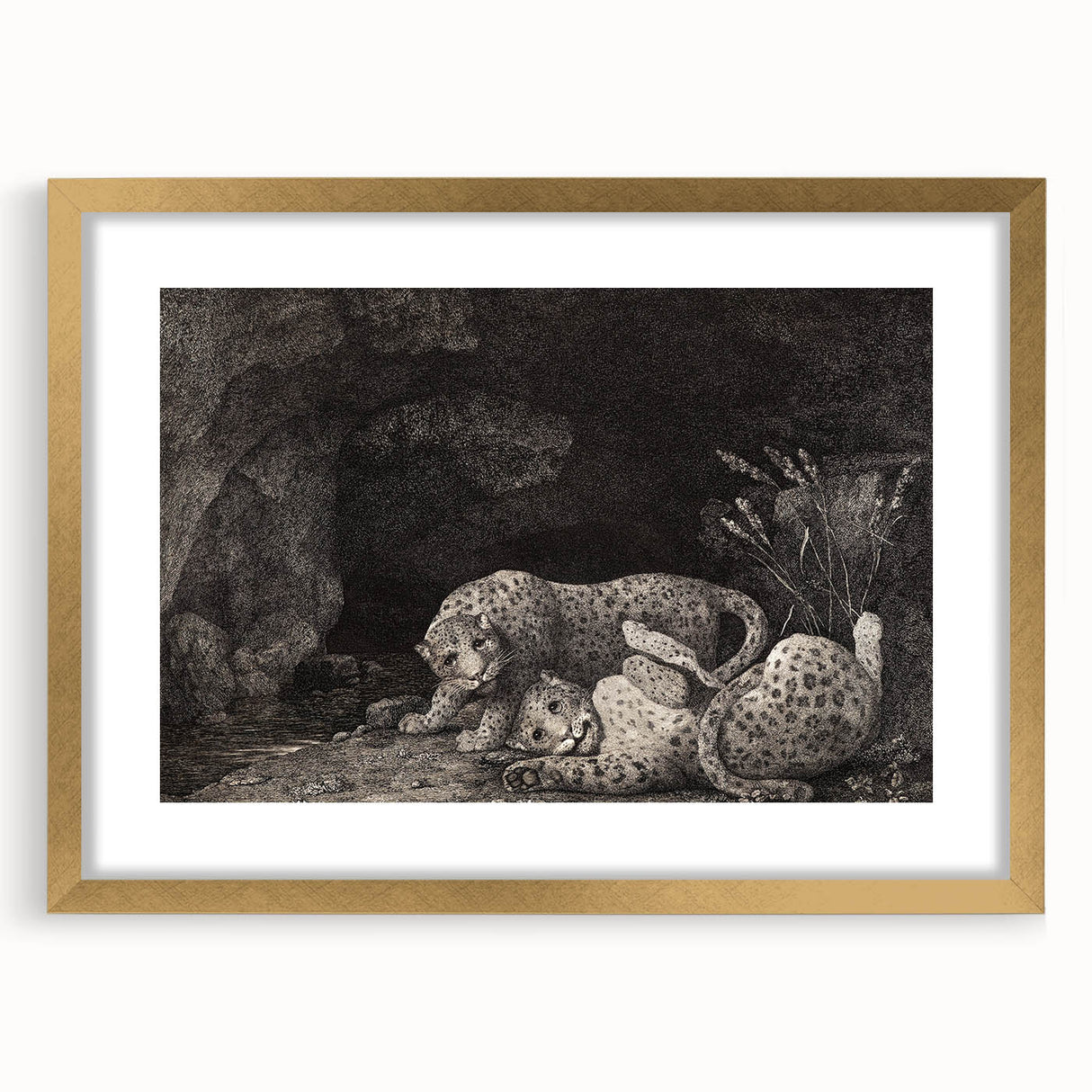 Realism Art Print – Tygers at Play by George Stubbs | Classical Wildlife Art