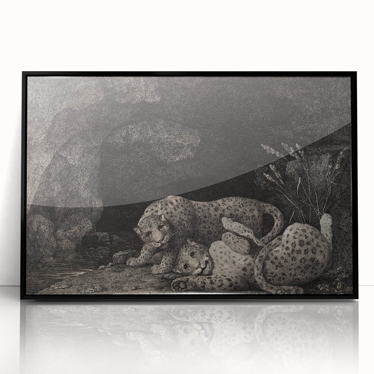 Realism Art Print – Tygers at Play by George Stubbs | Classical Wildlife Art