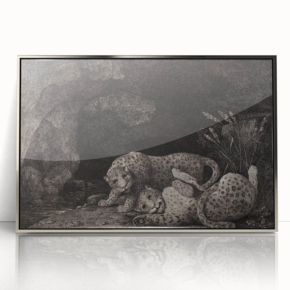 Realism Art Print – Tygers at Play by George Stubbs | Classical Wildlife Art