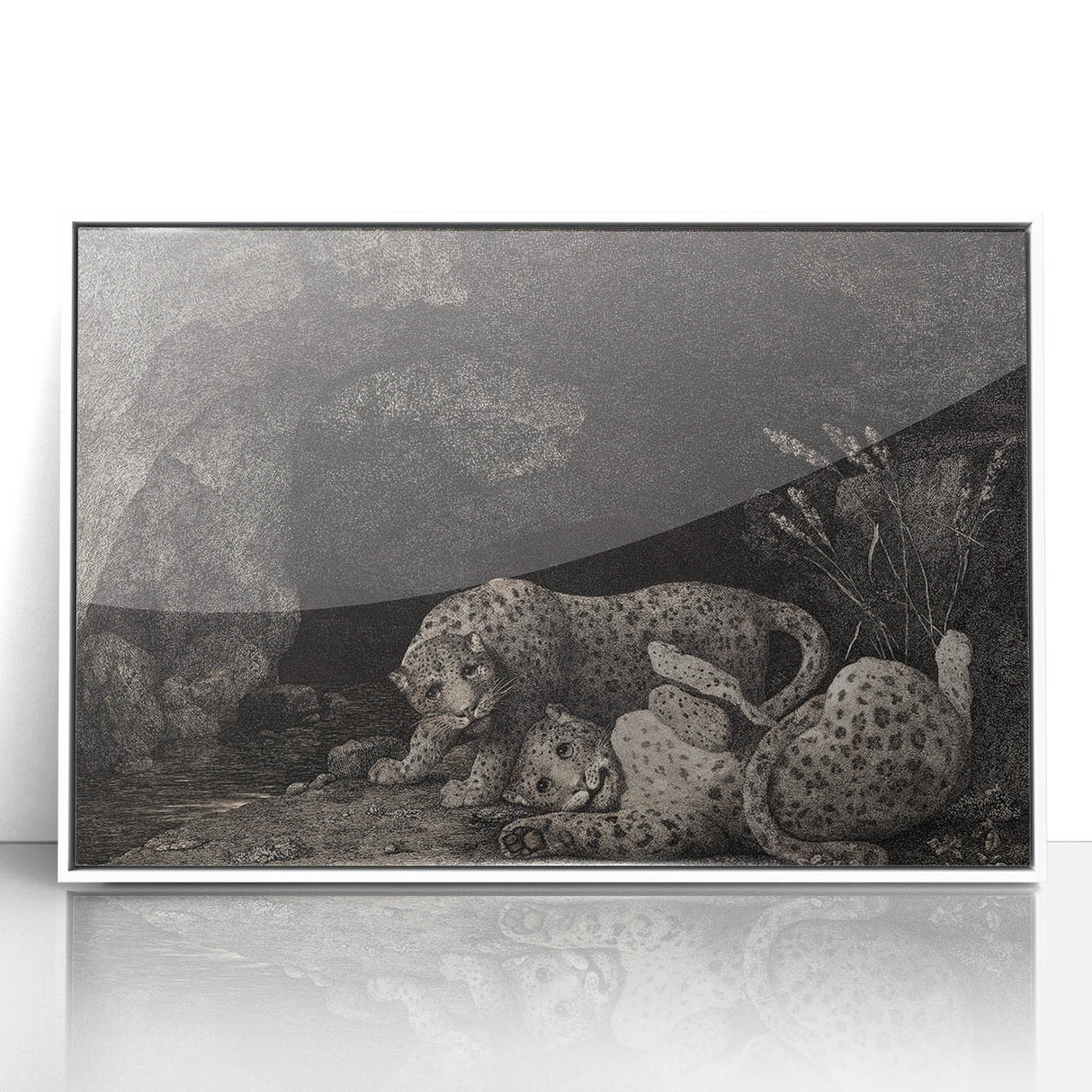 Realism Art Print – Tygers at Play by George Stubbs | Classical Wildlife Art