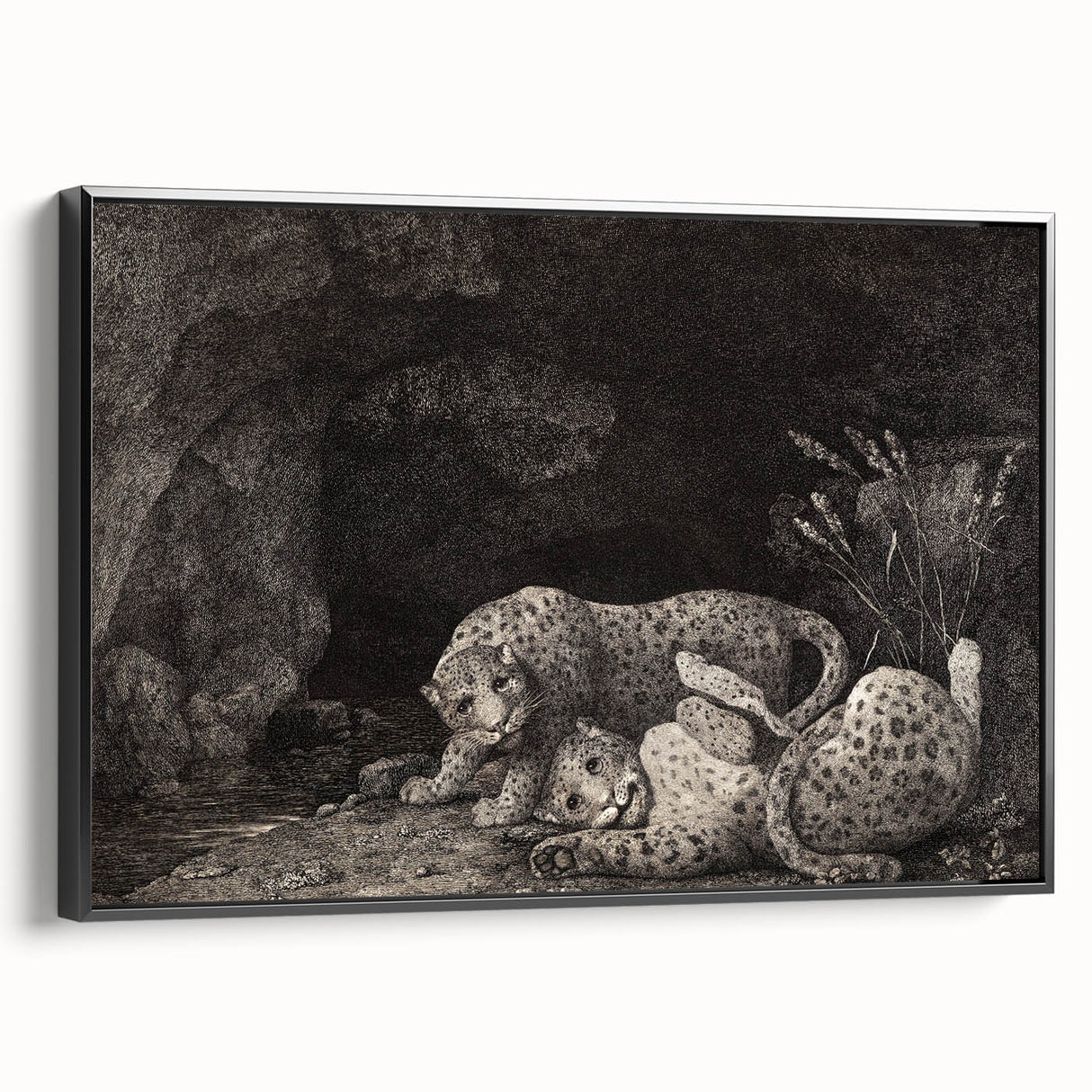 Realism Art Print – Tygers at Play by George Stubbs | Classical Wildlife Art