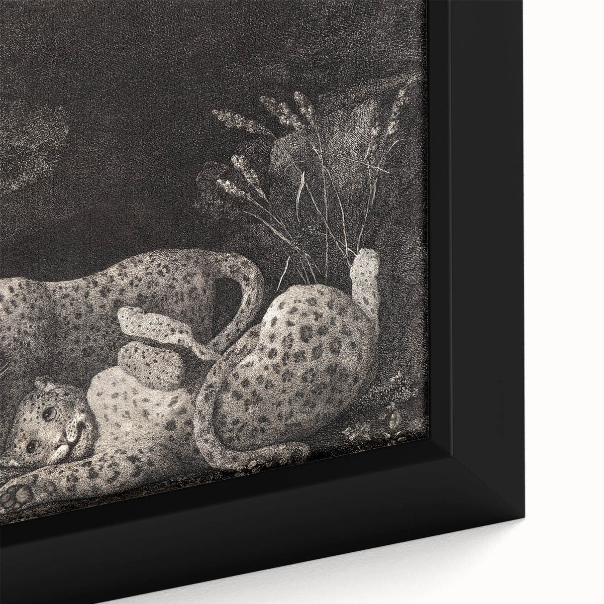 Realism Art Print – Tygers at Play by George Stubbs | Classical Wildlife Art