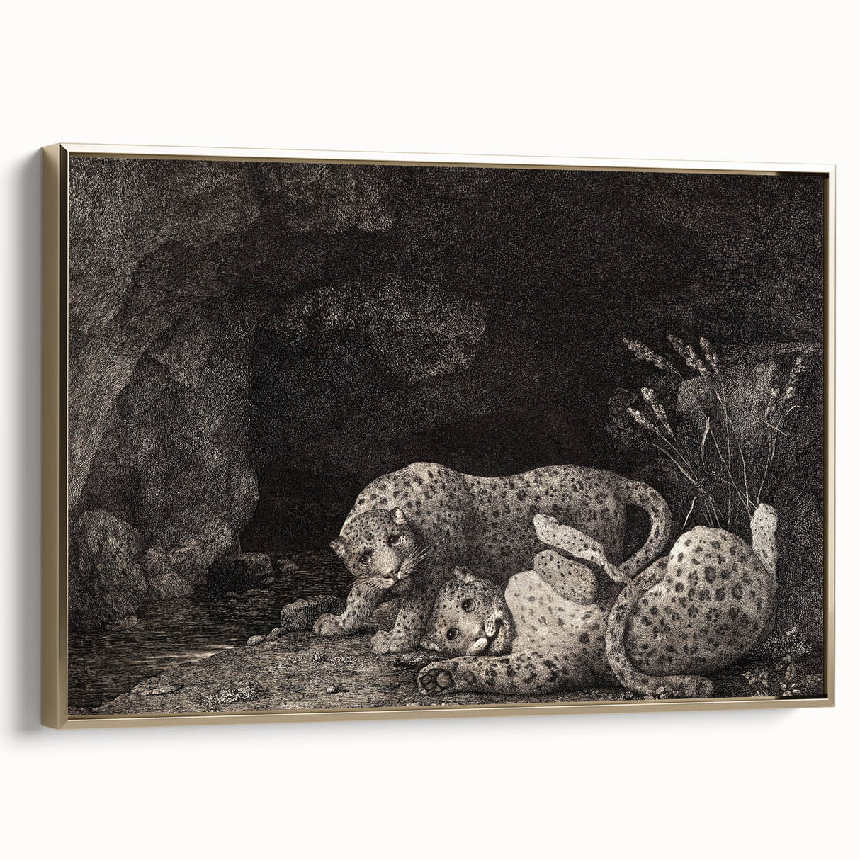 Realism Art Print – Tygers at Play by George Stubbs | Classical Wildlife Art