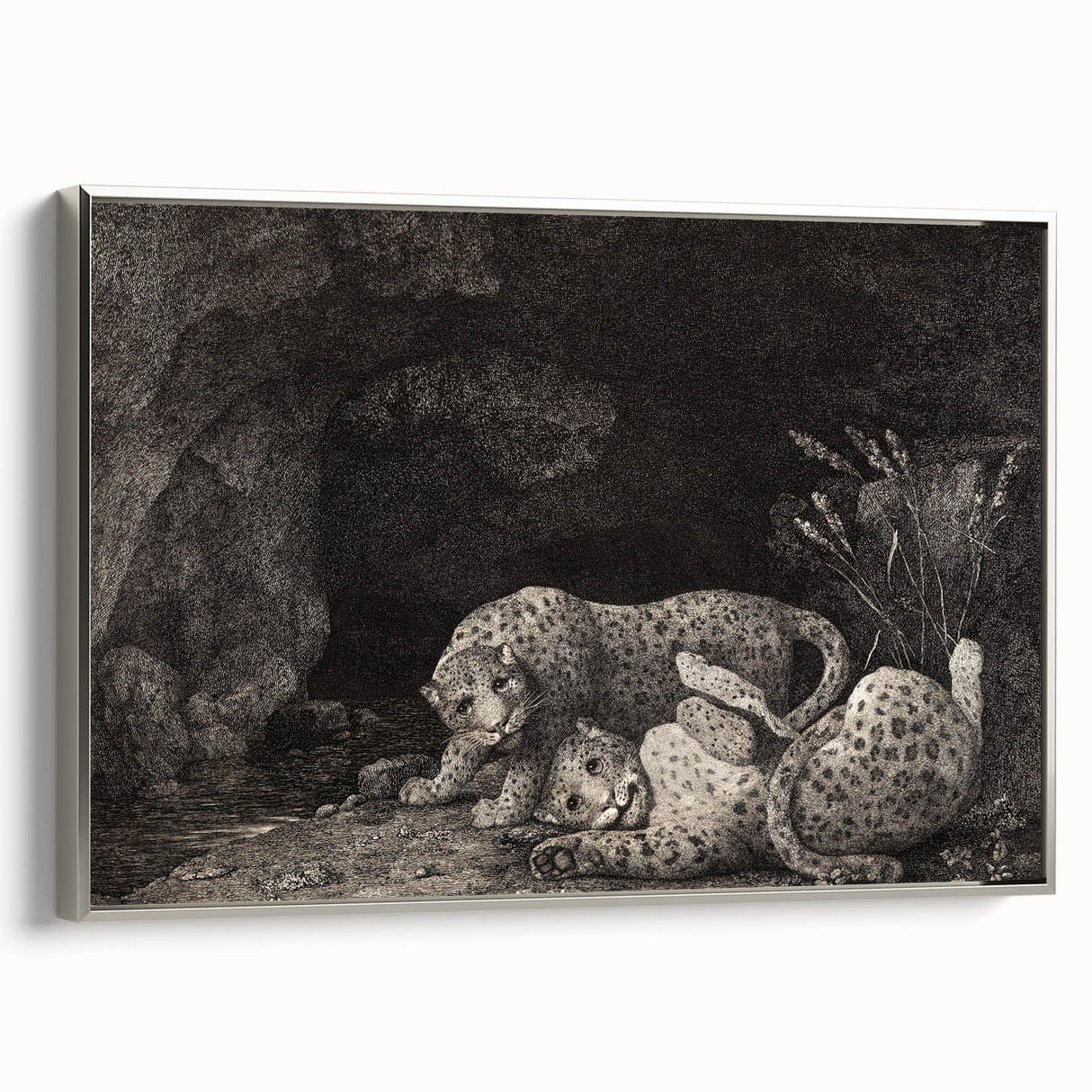 Realism Art Print – Tygers at Play by George Stubbs | Classical Wildlife Art