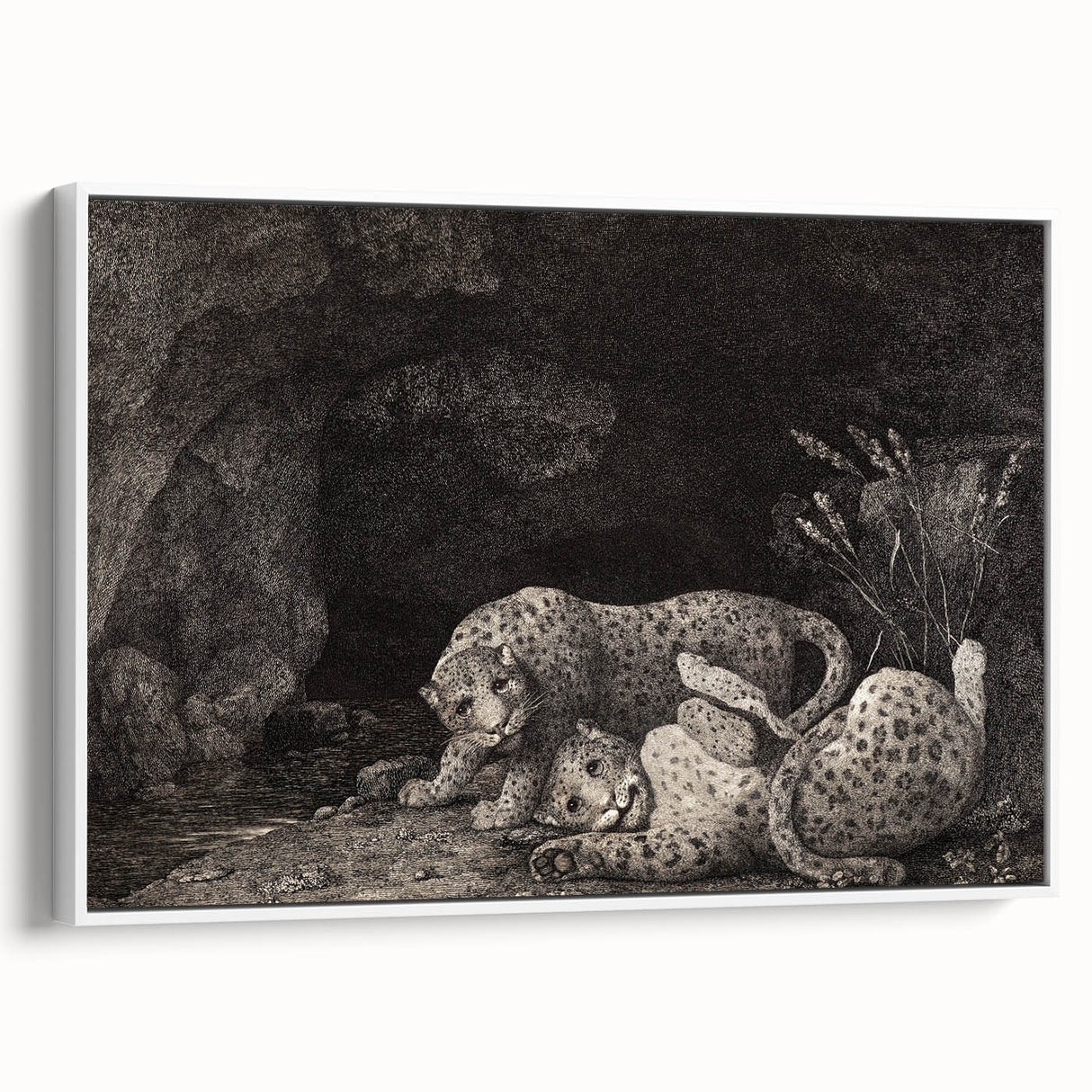 Realism Art Print – Tygers at Play by George Stubbs | Classical Wildlife Art
