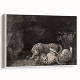 Realism Art Print – Tygers at Play by George Stubbs | Classical Wildlife Art