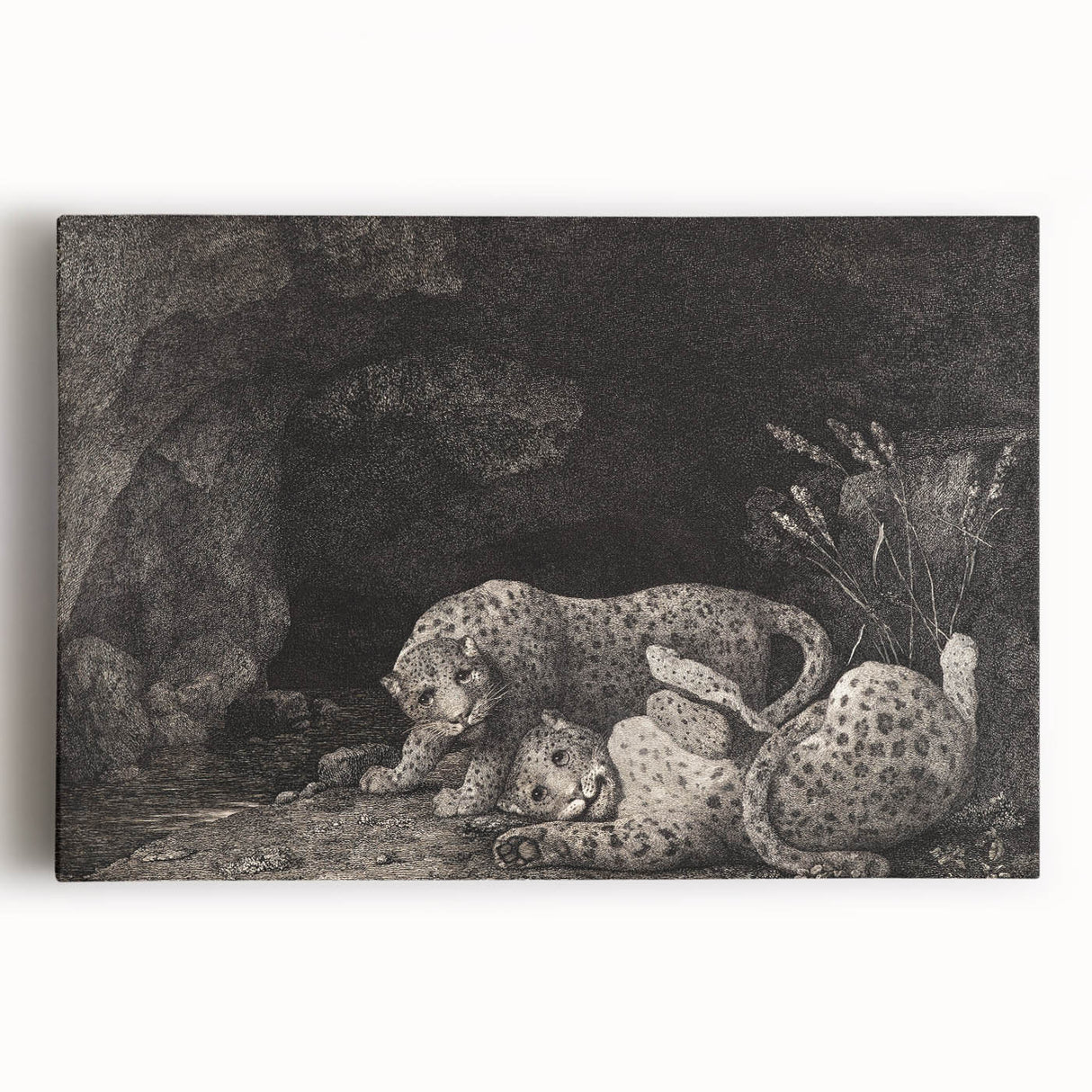 Realism Art Print – Tygers at Play by George Stubbs | Classical Wildlife Art