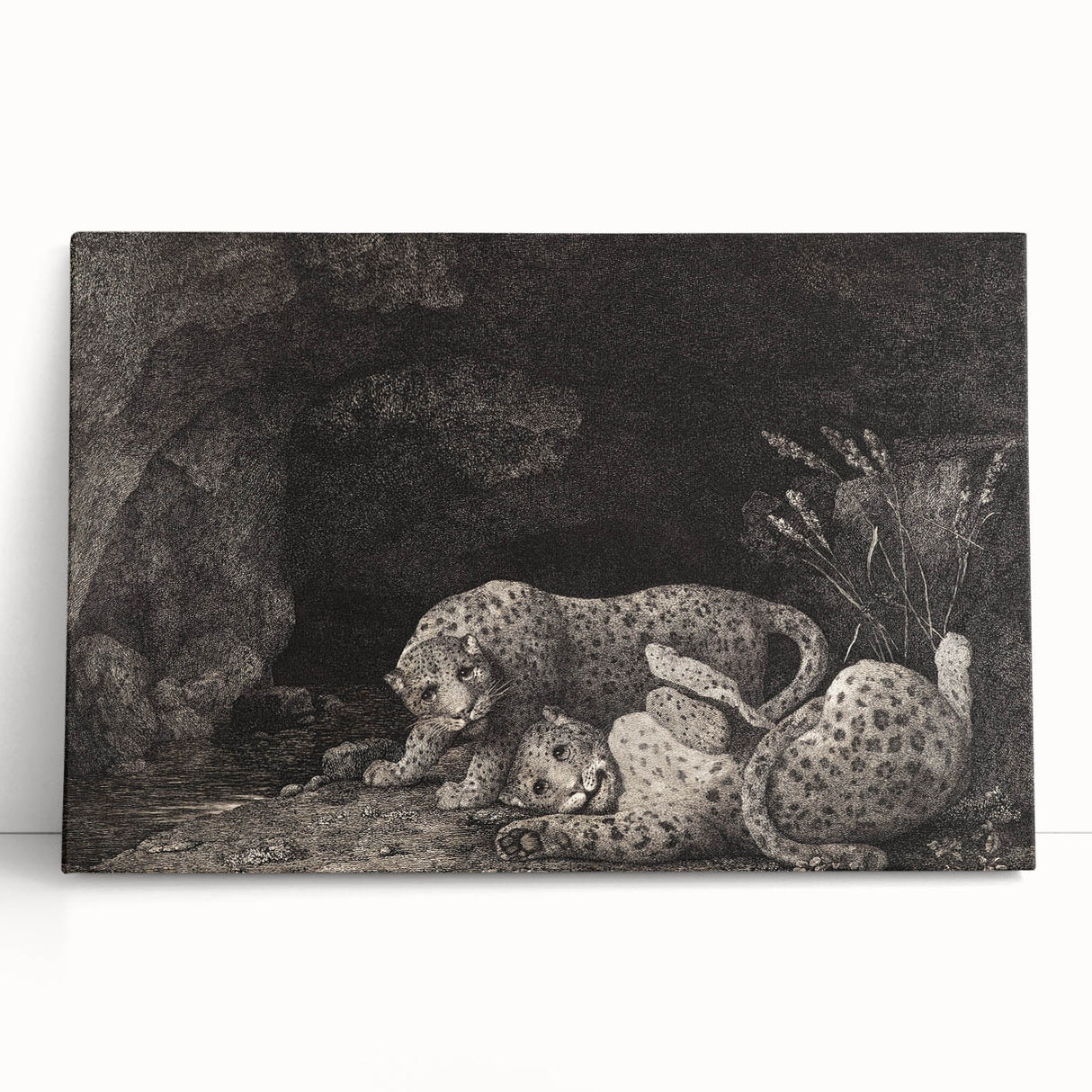 Realism Art Print – Tygers at Play by George Stubbs | Classical Wildlife Art