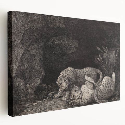 Realism Art Print – Tygers at Play by George Stubbs | Classical Wildlife Art