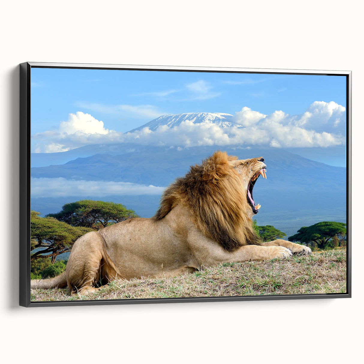 Black and white framed canvas featuring a Kenyan landscape, ideal for bedroom wall decor.