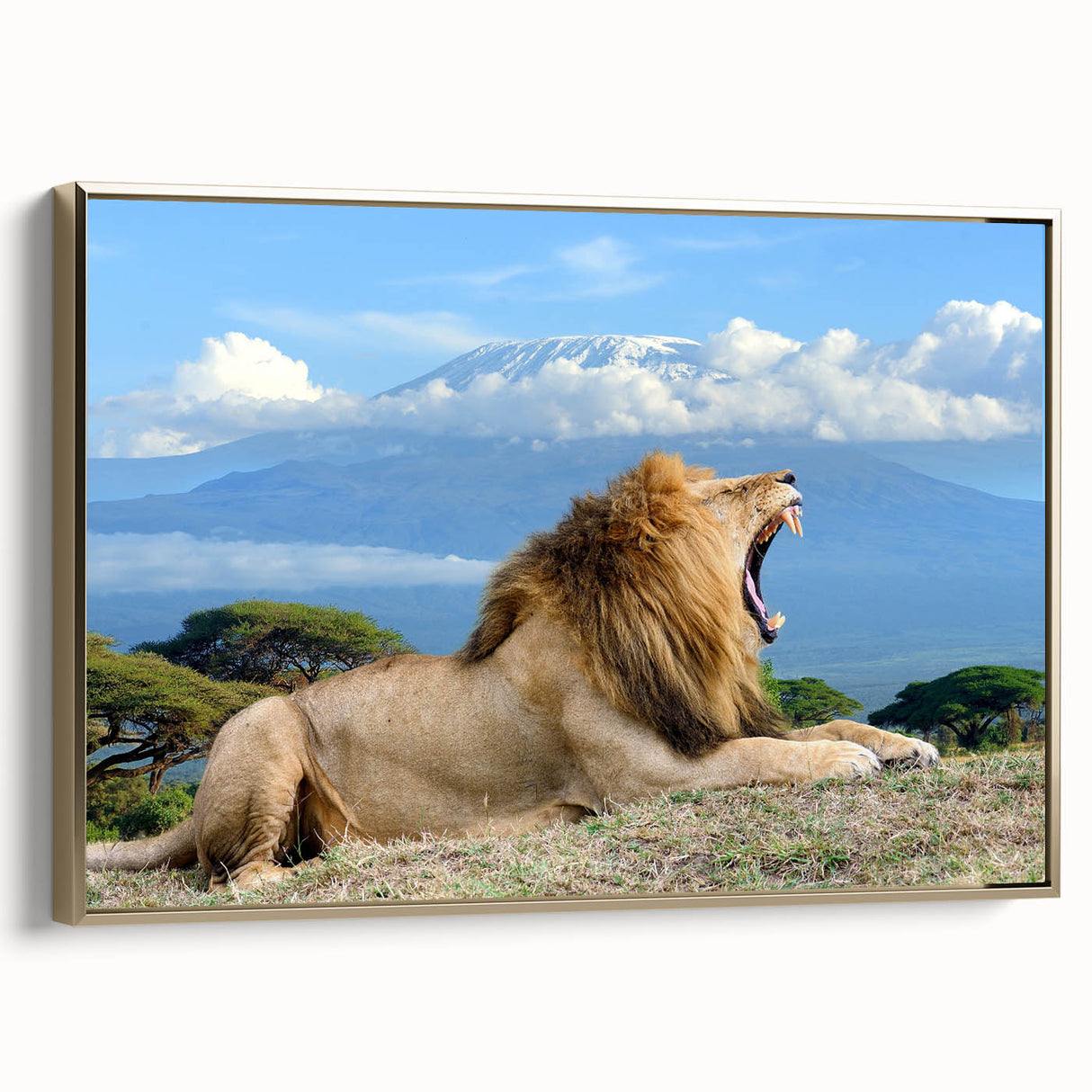 Framed canvas landscape art painting depicting a vibrant Kenyan scenery, ideal for living room decor.